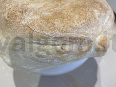 Koldūnai puoduose su daržovių mišiniu po tešlos dangteliu pagrindine nuotrauka