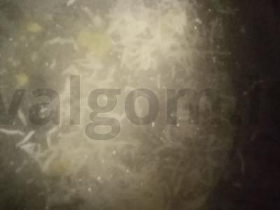 Sūrio sriuba su grybais Žingsnis 6