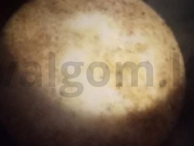 Sūrio sriuba su grybais Žingsnis 8