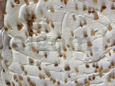 Gata sausainiai Žingsnis 20