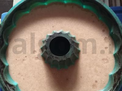 Imbierinis keksas Žingsnis 3