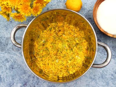 Kiaulpienių medus Žingsnis 2