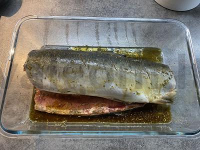 Trumpai apie rausvąją lašišą Žingsnis 2