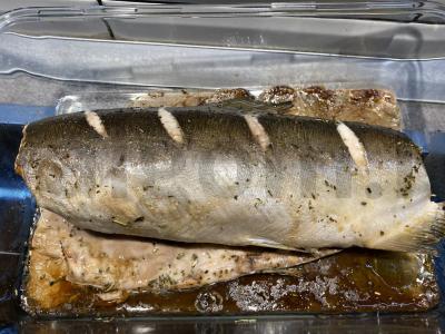 Trumpai apie rausvąją lašišą Žingsnis 3