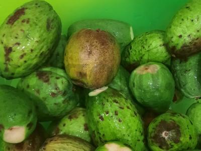 Feijoa, tarkuota su cukrumi Žingsnis 2
