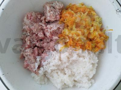 Paprastas įdarytų kopūstų receptas su Pekino kopūstais Žingsnis 2