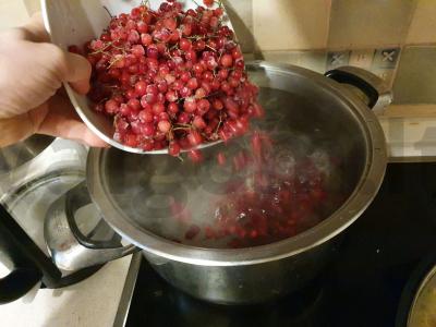 Raudonųjų serbentų kompotas su mėtomis Žingsnis 3