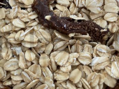 Šokoladinė granola Žingsnis 7