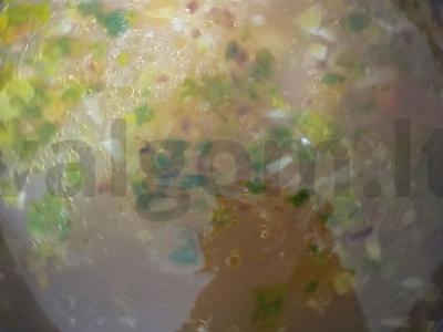 Žuvies sriuba su upėtakiu pagrindine nuotrauka