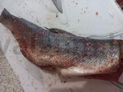 Ant grotelių keptos stauridės prieskoniuose Žingsnis 2
