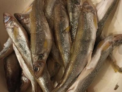 Kepti smeltės Žingsnis 1