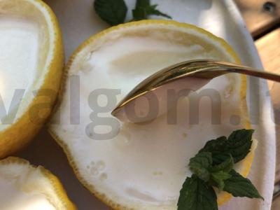 Citrinų possetas Žingsnis 8