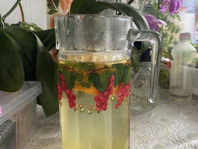 Gaivus apelsinų ir mėtų gėrimas Žingsnis 3