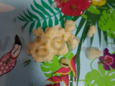 Salotos su vitaminų padažu Žingsnis 7