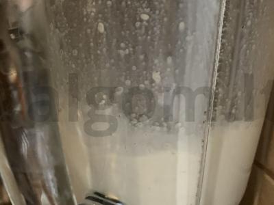 Aromatinga rudens halva latte Žingsnis 3