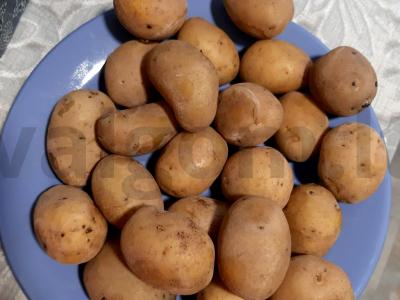 Bulvės grietinėlėje su kumpiu Žingsnis 1