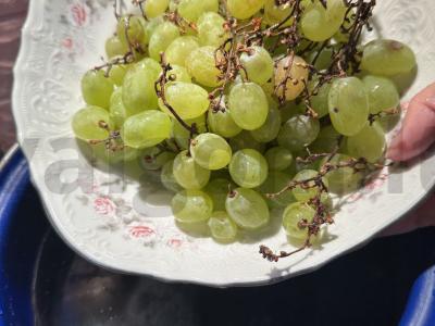 Baltųjų vynuogių ir vaisių kompotas Žingsnis 2