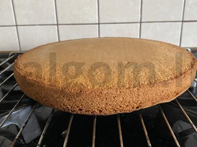 Tortas biskvitas pagrindine nuotrauka