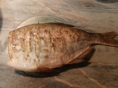 Kepta žuvis Žingsnis 1