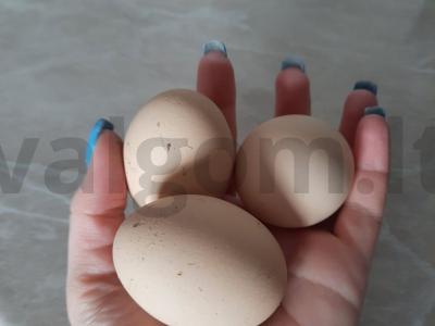 Vištienos kepenėlių salotos Žingsnis 1