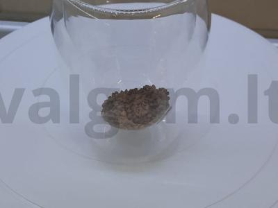 Kava su pieno puta Žingsnis 1