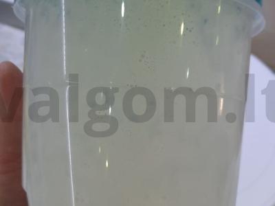 Kava su pieno puta Žingsnis 4