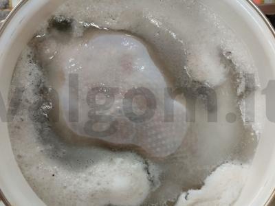 Virtas viščiukas Žingsnis 3