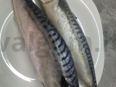 Aštri žuvis Žingsnis 1