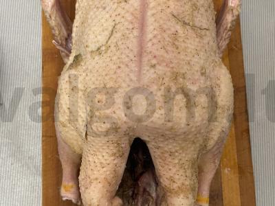 Antis su obuoliais Žingsnis 3