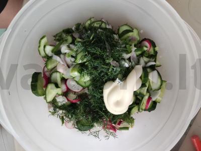 Salotos „Akvarelė“ Žingsnis 4