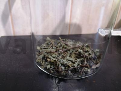 Arbata su melisa Žingsnis 2