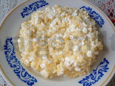 Kviečių košė su varške ir pienu pagrindine nuotrauka