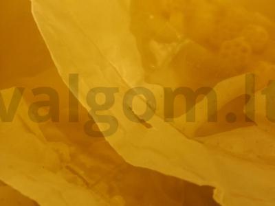 Fereolini su dešrelėmis Žingsnis 1