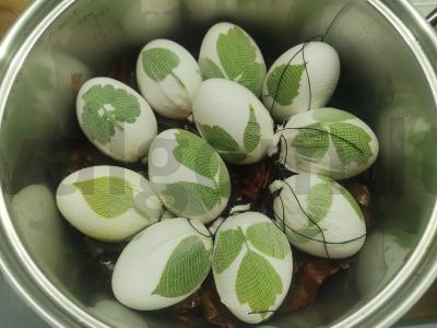 Kiaušiniai dažyti svogūnų lukštuose Žingsnis 4