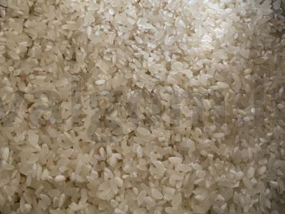 Pieninė ryžių košė Žingsnis 1