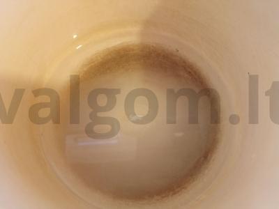 Slyvų džemas Žingsnis 1