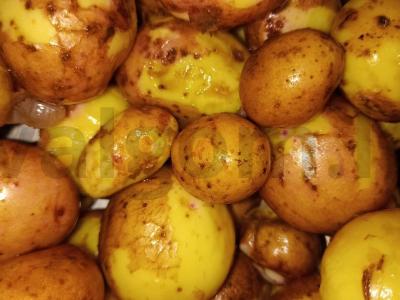 Jauni bulvytės greitai Žingsnis 1