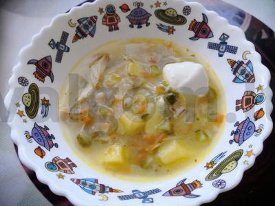 Patingėlių raugintas sriuba pagrindine nuotrauka