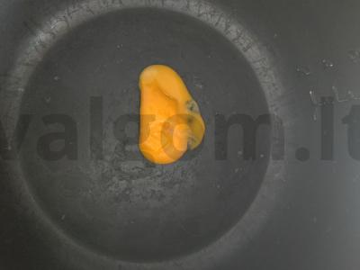 Sausainiai kaip „Žaidime su kalmaru“ Žingsnis 1