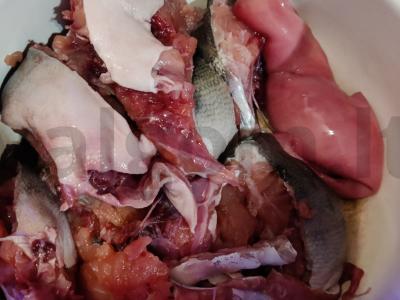 Tolimųjų Rytų lašiša Žingsnis 1