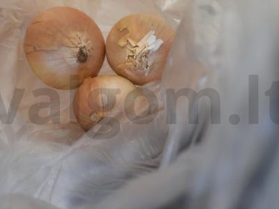 Žuvies ratukai Žingsnis 2