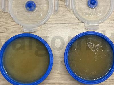 Namų kaulų sultinys Žingsnis 4