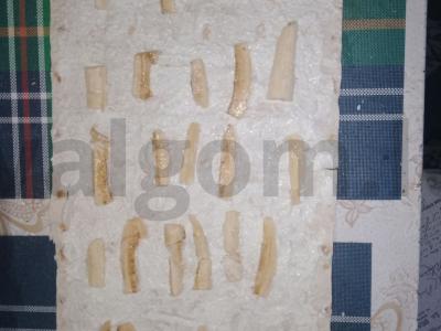 Varškės ritinėlis lavaše Žingsnis 5