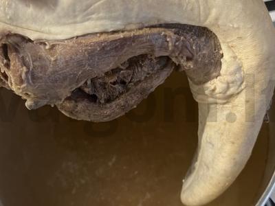 Namų stiliaus jautienos liežuvis Žingsnis 1