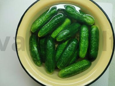 Sūdyti agurkai su vyšnių ir juodųjų serbentų lapais Žingsnis 1