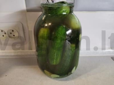 Sūdyti agurkai su vyšnių ir juodųjų serbentų lapais Žingsnis 7