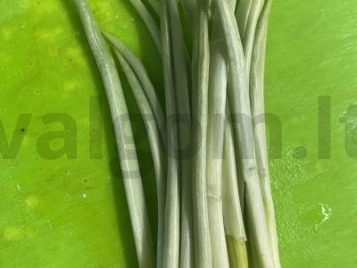 Vaivorykštinė upėtakis su česnakine žolele po balta skraiste Žingsnis 2