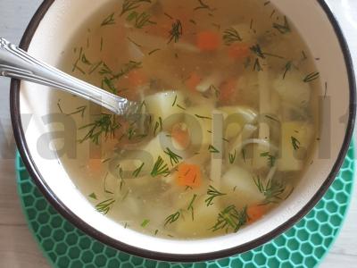 Vištienos sriuba su makaronais, daržovėmis ir prieskoniais pagrindine nuotrauka