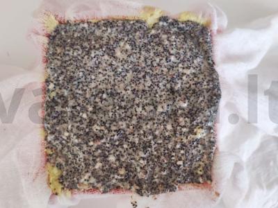 Skani citrininė varškės pyragas su agušų įdaru Žingsnis 3