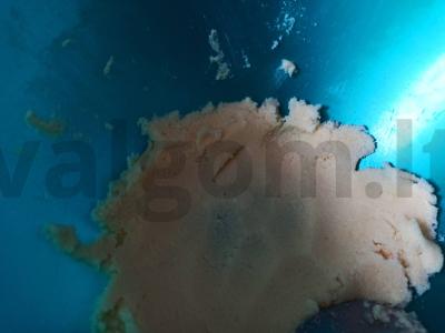 Kavos sausainiai Žingsnis 1